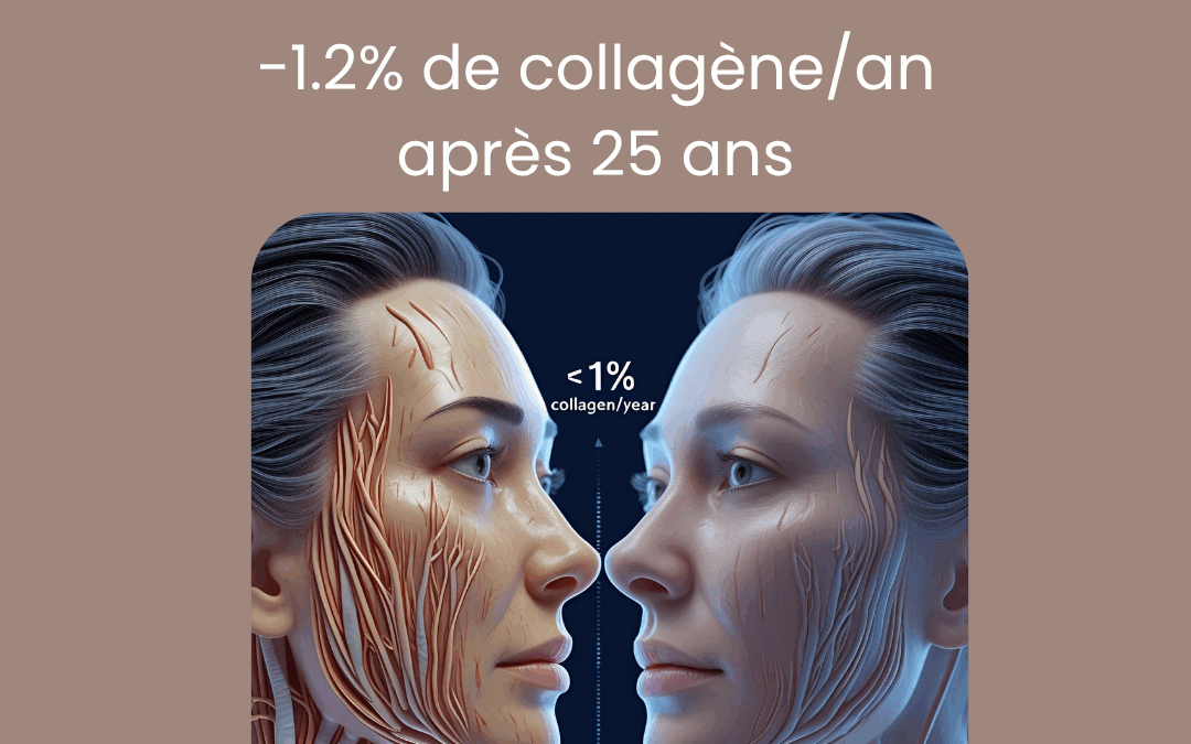 Collagène, Teint, Hydratation : Le Triangle d&rsquo;Or d&rsquo;une Peau Jeune (Même Après 40 Ans) ✨